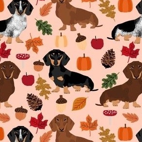 dachshund dog doxie pumpkin autumn leaves leaf pinecones acorns dog breed fabric