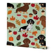 dachshunds dog doxie autumn leaves cute dogs dog design dog breed pumpkins acorns leaf