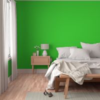  Solid Lime Green (#3AD42D)