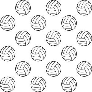 One Inch Black and White Volleyballs on White