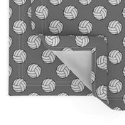 One Inch Black and White Volleyballs on Medium Gray