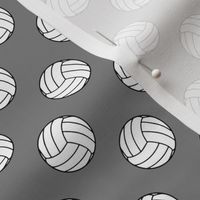 One Inch Black and White Volleyballs on Medium Gray