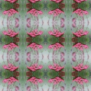 Misty_Pink_Pattern