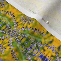 Lavenders_Pattern