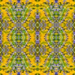 Lavenders_Pattern