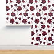 Red blooming poppies on white