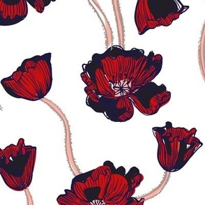 Red blooming poppies on white