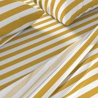 mustard stripes tripe stripes girls sweet mustard stripe one inch stripe