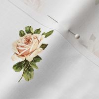 Vintage Tea Roses in White