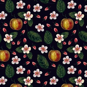 Apple blossoms