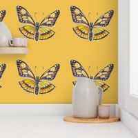 Yellow_and_Brown_butterfly_