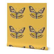 Yellow_and_Brown_butterfly_