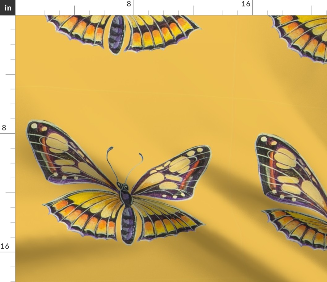 Yellow_and_Brown_butterfly_