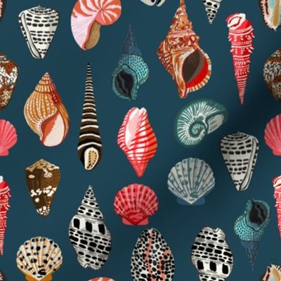 seashells // navy nautical beach summer seashell print seashell fabrics