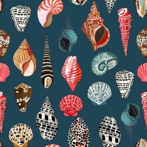 Seashell Print Fabric, Wallpaper and Home Decor | Spoonflower