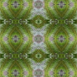 Fern_Pattern