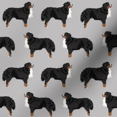 bernese mountain dog fabric bernese mountain dog dog breed design dog breed fabric dogs cute dog design best dog pet dog fabric