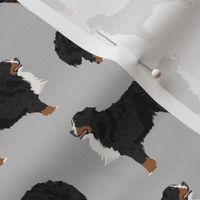 bernese mountain dog fabric bernese mountain dog dog breed design dog breed fabric dogs cute dog design best dog pet dog fabric