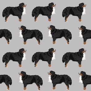 bernese mountain dog fabric bernese mountain dog dog breed design dog breed fabric dogs cute dog design best dog pet dog fabric