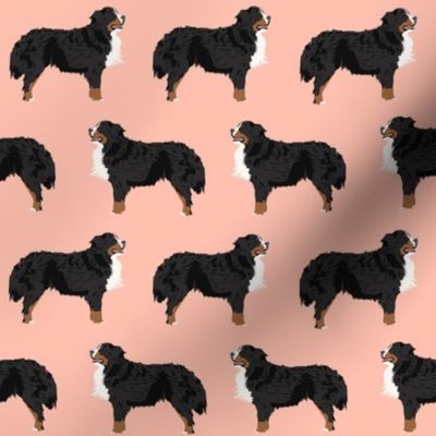 bernese mountain dog fabric peach blush dog fabric dog breed fabric bernese mountain dog design cute dogs