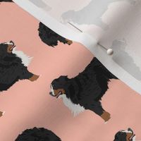 bernese mountain dog fabric peach blush dog fabric dog breed fabric bernese mountain dog design cute dogs