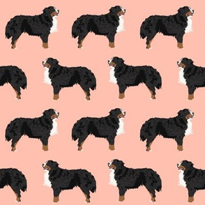 bernese mountain dog fabric peach blush dog fabric dog breed fabric bernese mountain dog design cute dogs