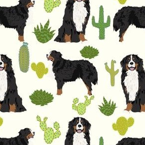 bernese mountain dog breed fabric cute cactus design cactus fabric dog fabric dogs dog breed cactus dog breed