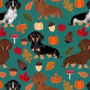 dachshund dog autumn pumpkin leaves fall autumn seasonal doxie dachshund fabric