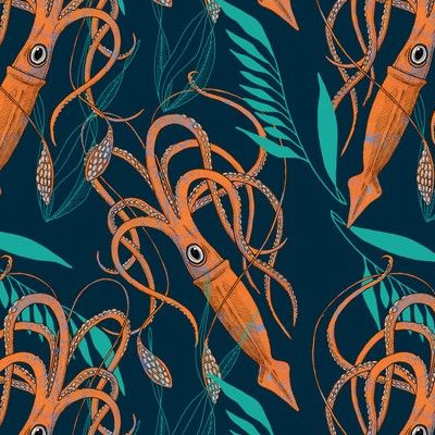 Giant Squid Wallpapers  Top Free Giant Squid Backgrounds  WallpaperAccess