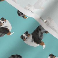 australian shepherds dog blue aussie dog cute dogs dog fabric australian shepherds