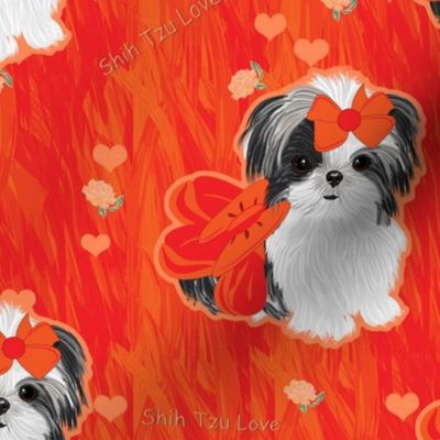 Shihtzu Tangerine Love