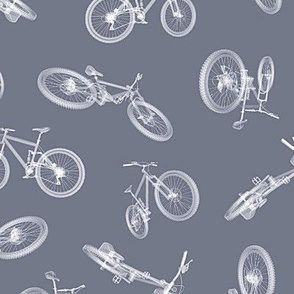 bicycle - mountainbike - gray - xray - large