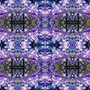 Agapanthus_Abundance_Pattern