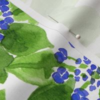 Watercolour hydrangea