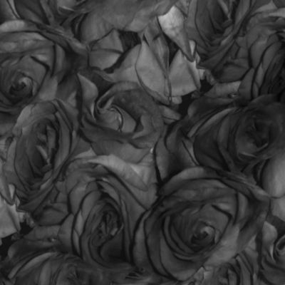 Last Rites ~ A Dozen Dozen Roses 