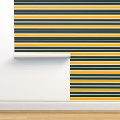 Greenish Black and Orange Horizontal Stripe