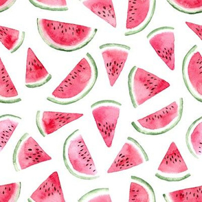 slices of watermelon