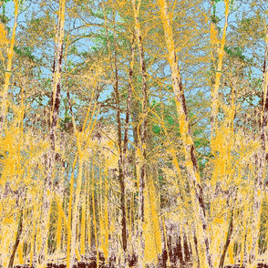 YELLOW WOODS