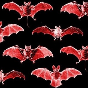 scary vampires - red - large