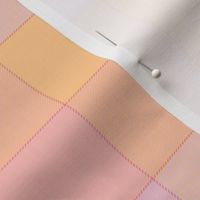 paneled tartan - 6" - sherbet pink