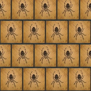 Female Barn Spider Silhouette Blocks