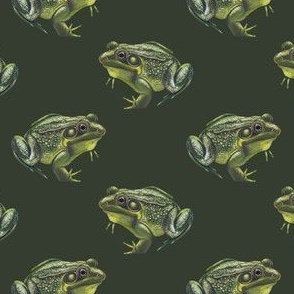 small green frogs