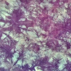 dyed028