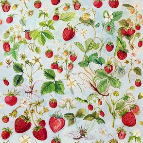 Strawberries, Vintage Inspired