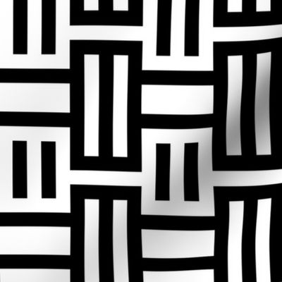 Black and White Geometric