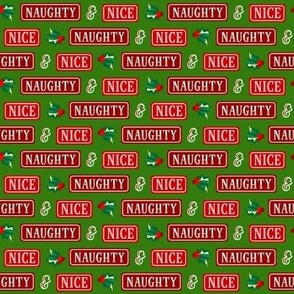 Christmas Naughty and Nice Santa List - Red Green