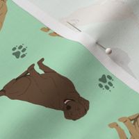 Tiny Labrador Retrievers - green
