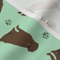 Tiny Chocolate Labrador Retrievers - green