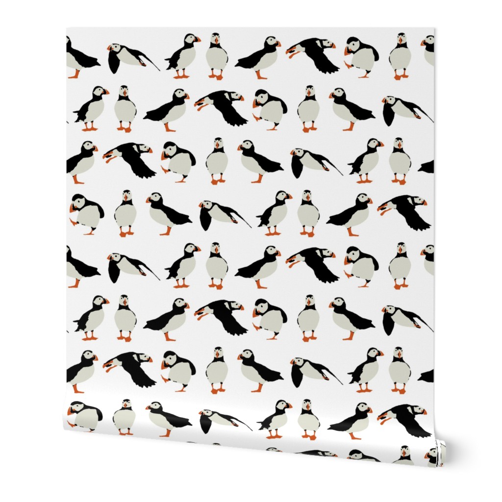 just puffins on white