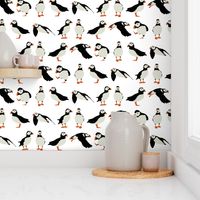 just puffins on white